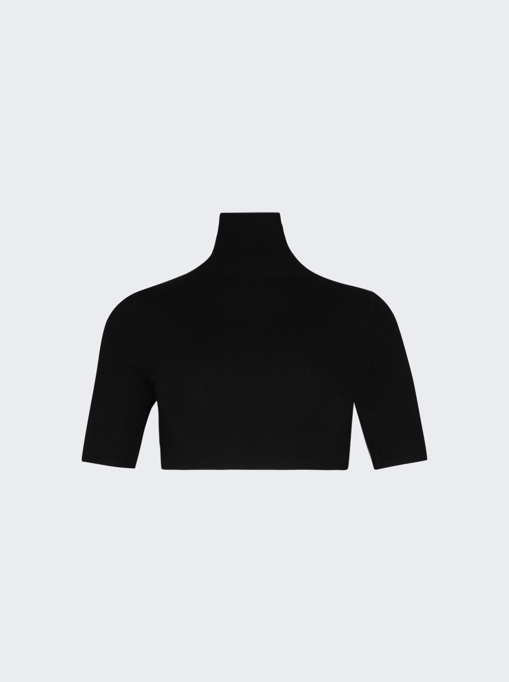 Cropped Turtleneck Knit Top Black  | The Webster | The Webster