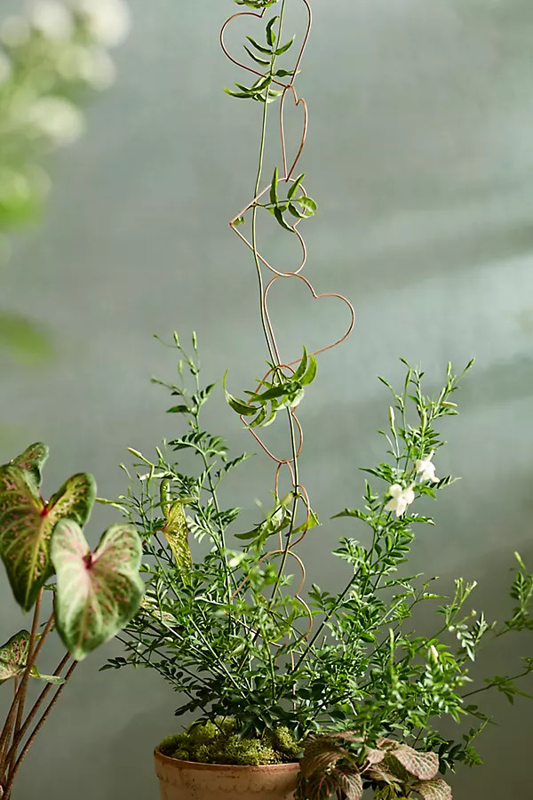 Heart Chain Copper Garland Trellis | Anthropologie (US)