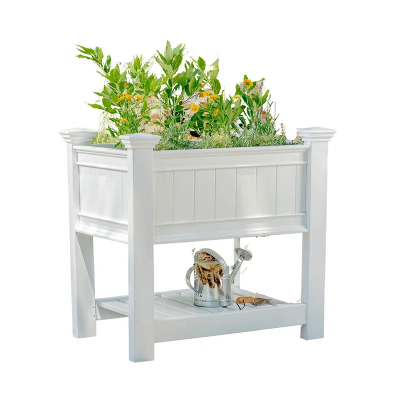 Charlton Home® Kerrimore Plastic Elevated Planter & Reviews | Wayfair | Wayfair North America