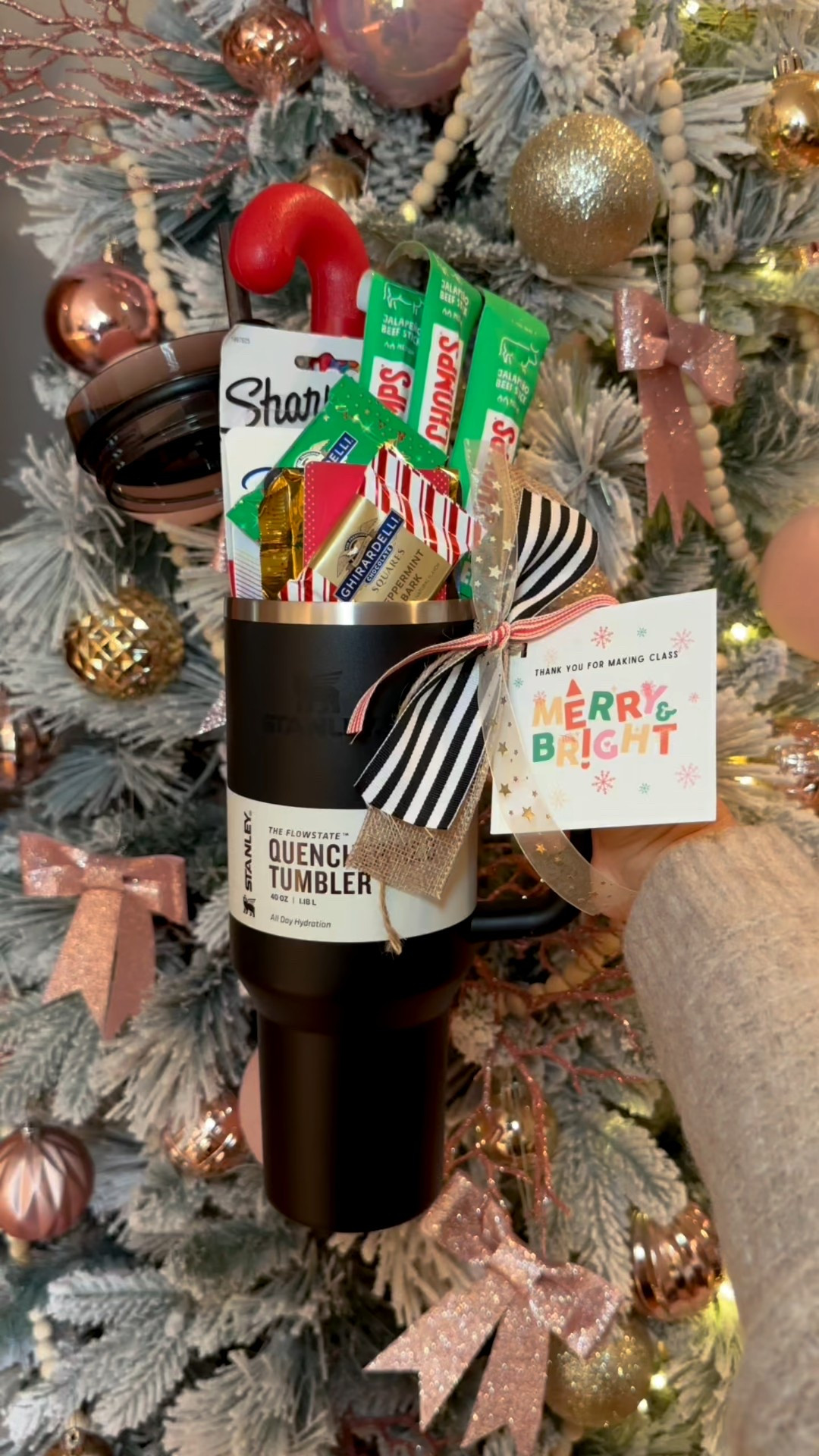 A Teacher Christmas Gift Idea! I linked more tumbler options too! I also linked a few more ideas for fun filler items. Happy Gifting & follow for more gift ideas!🎄🎁

#LTKHoliday #LTKSeasonal #LTKGiftGuide