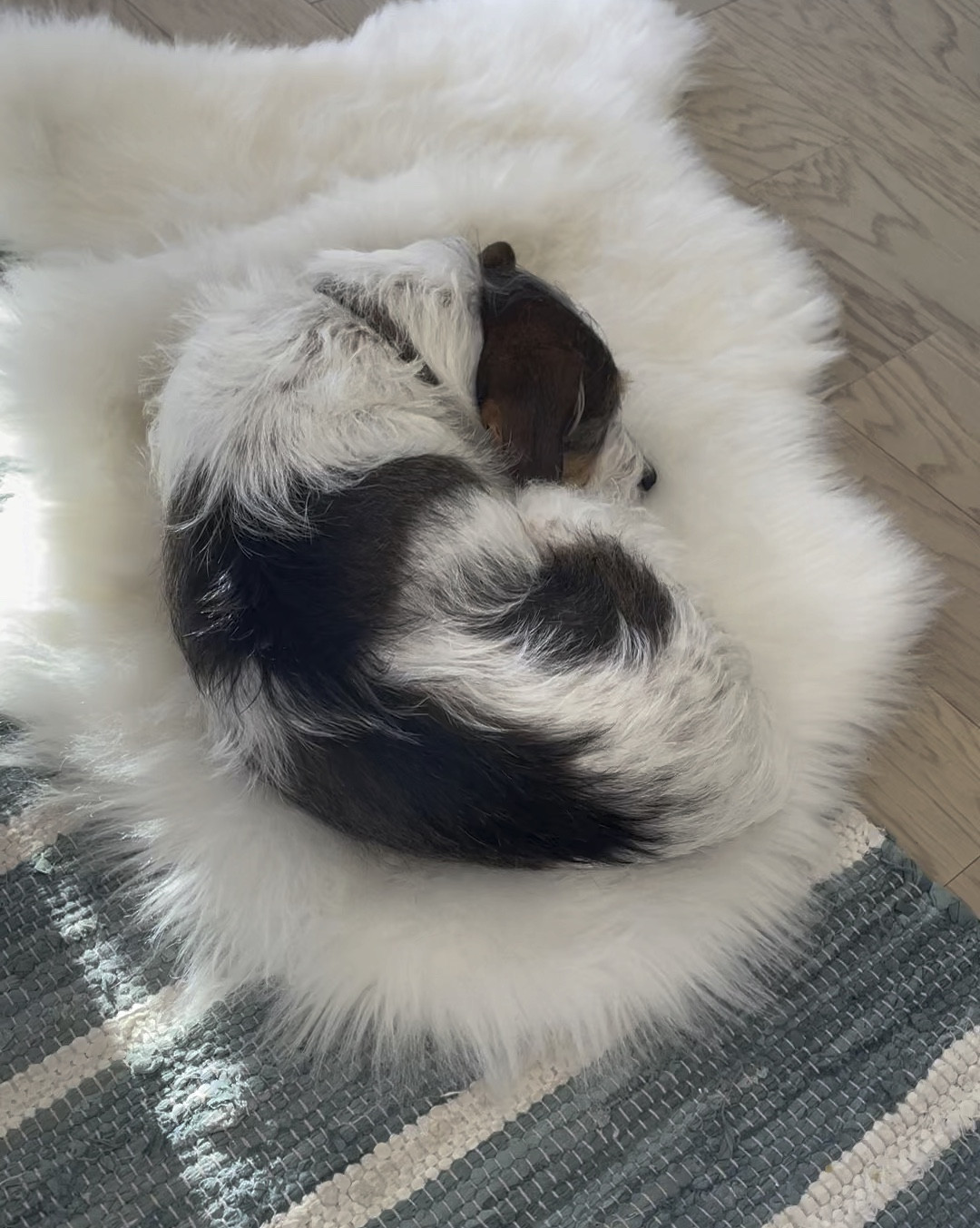 catching those sun rays.

#LTKfindsunder50 #LTKhome