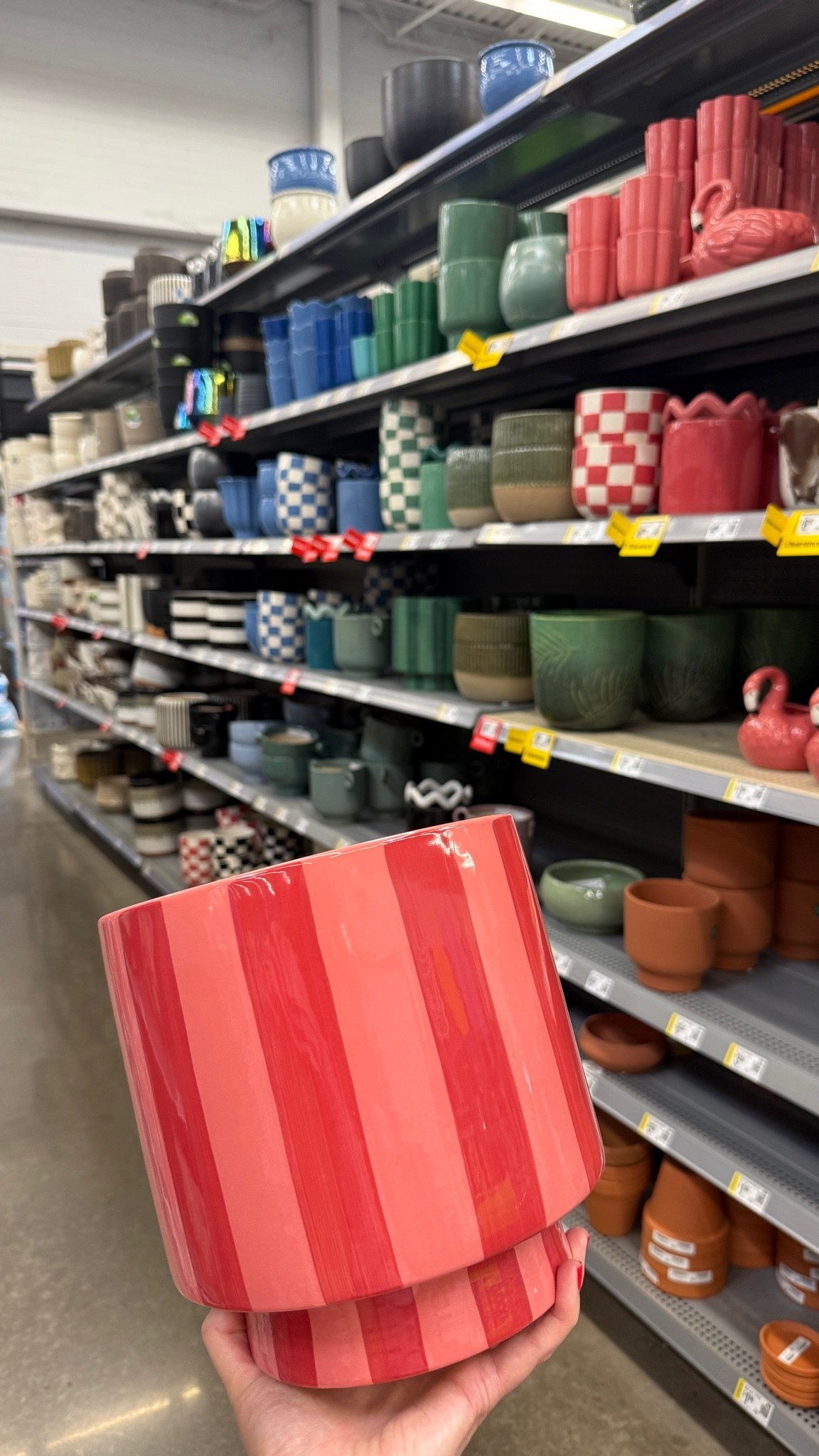 Cutest ceramic planter markdowns!

#LTKSaleAlert #LTKHome #LTKOver40