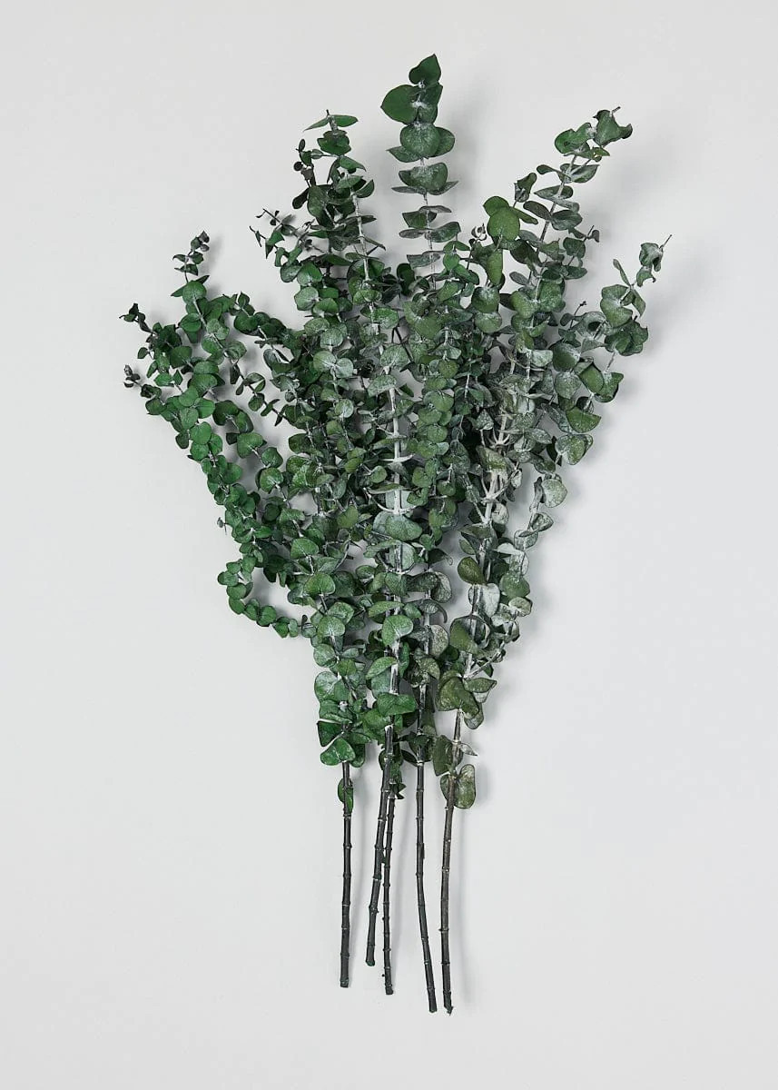 Moss Green Preserved Baby Spiral Eucalyptus | Afloral