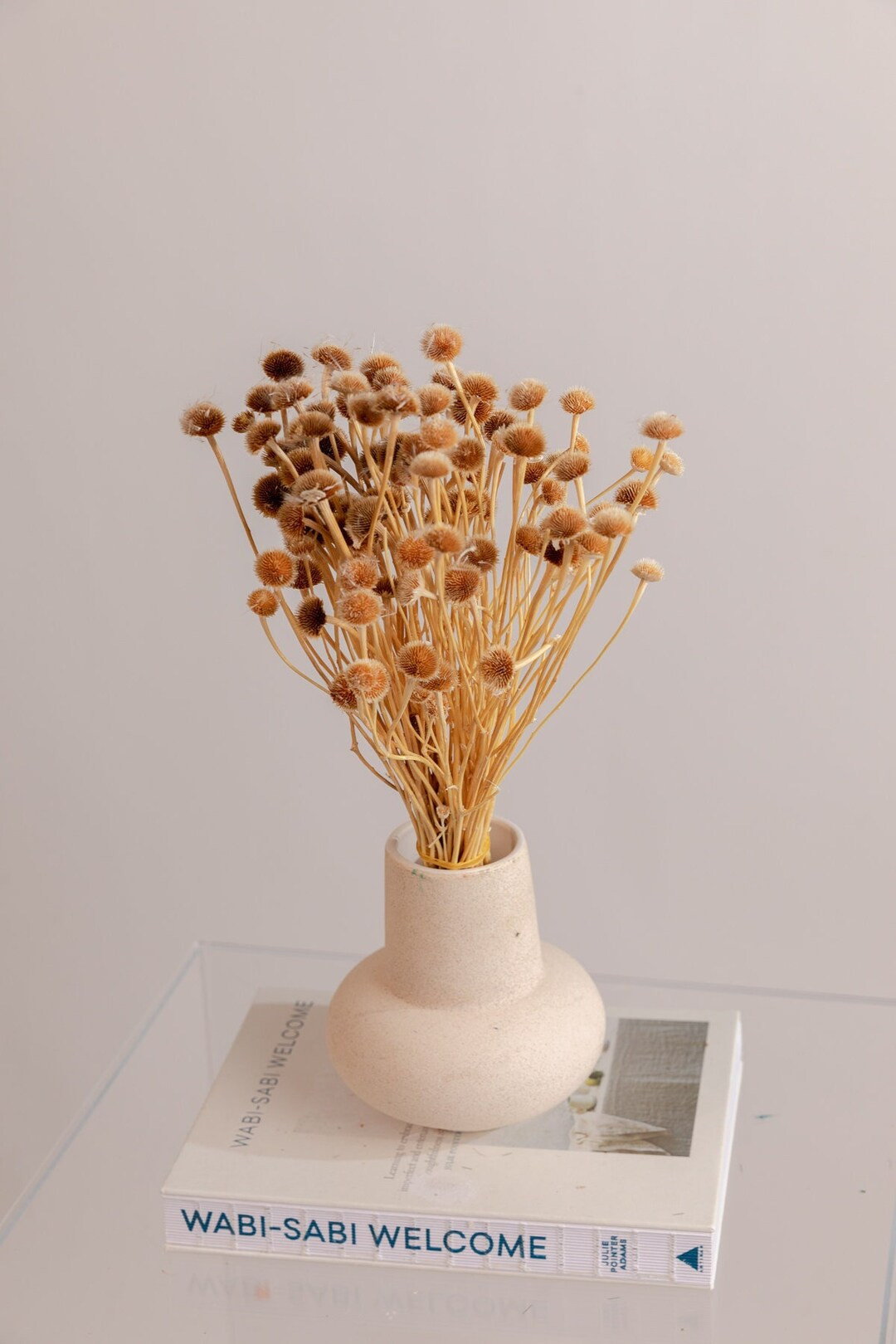 Preserved Amarely Flowers Natural Beige Button Flowers - Etsy | Etsy (US)