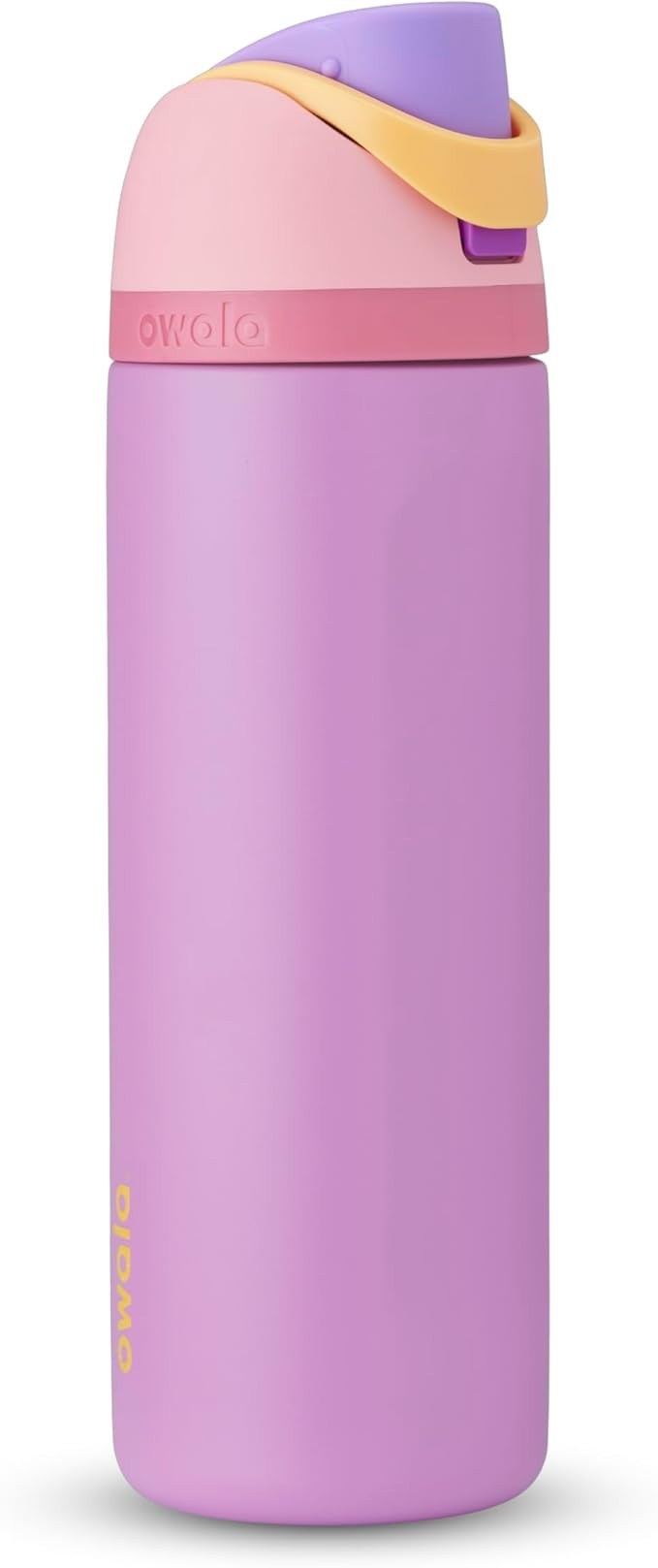 Owala Disney Princess FreeSip Insulated Stainless Steel Water Bottle with Straw for Sports and Tr... | Amazon (US)