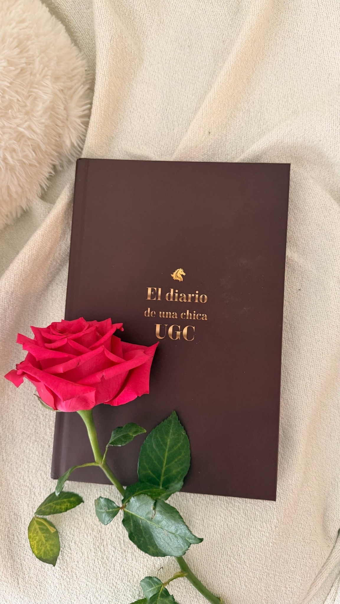I wrote my first book✨Although it is only available in Spanish for now, it is something that makes me very happy. It is a personal site with many tools for you to start in the UGC world

#LTKdayinmylife #LTKfitnessgoals #LTKvlog