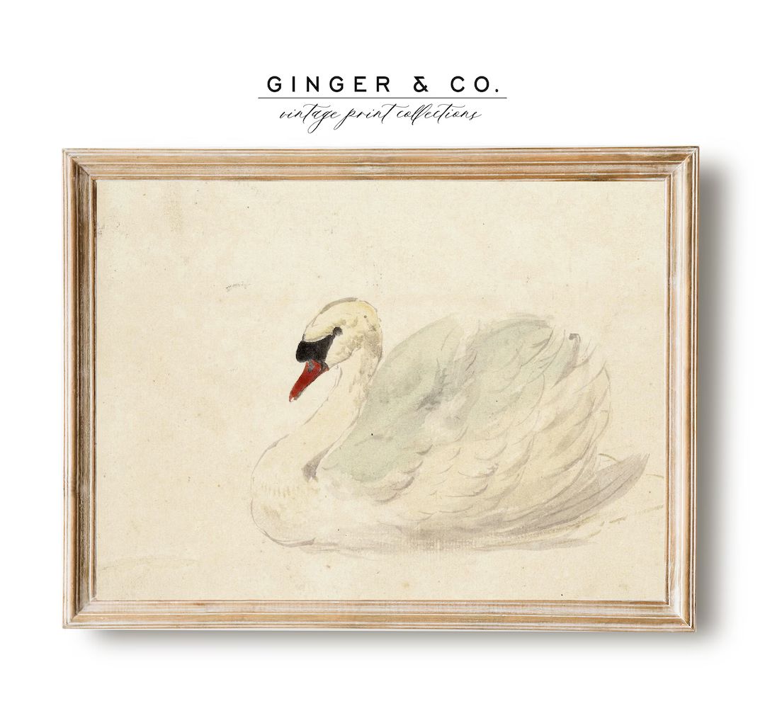 White Swan Vintage Painting  PRINTABLE DIGITAL DOWNLOAD - Etsy | Etsy (US)