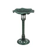 Evergreen Garden Outdoor Décor Solar Plastic Bird Bath Lily Pad in Green Patina for Homes Gardens Ya | Amazon (US)