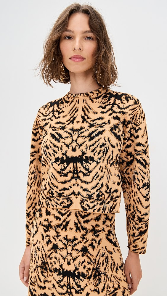 Cade Jacquard Knit Long Sleeve Pullover | Shopbop