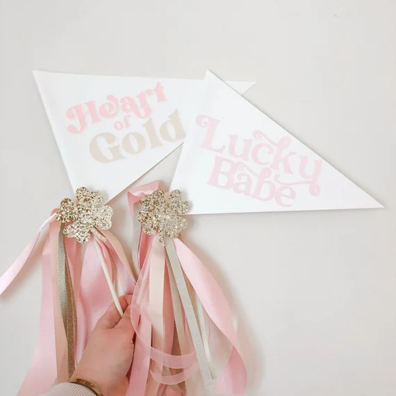 Lucky Babe St. Patricks Day Pennant Flag | Etsy | Etsy (US)