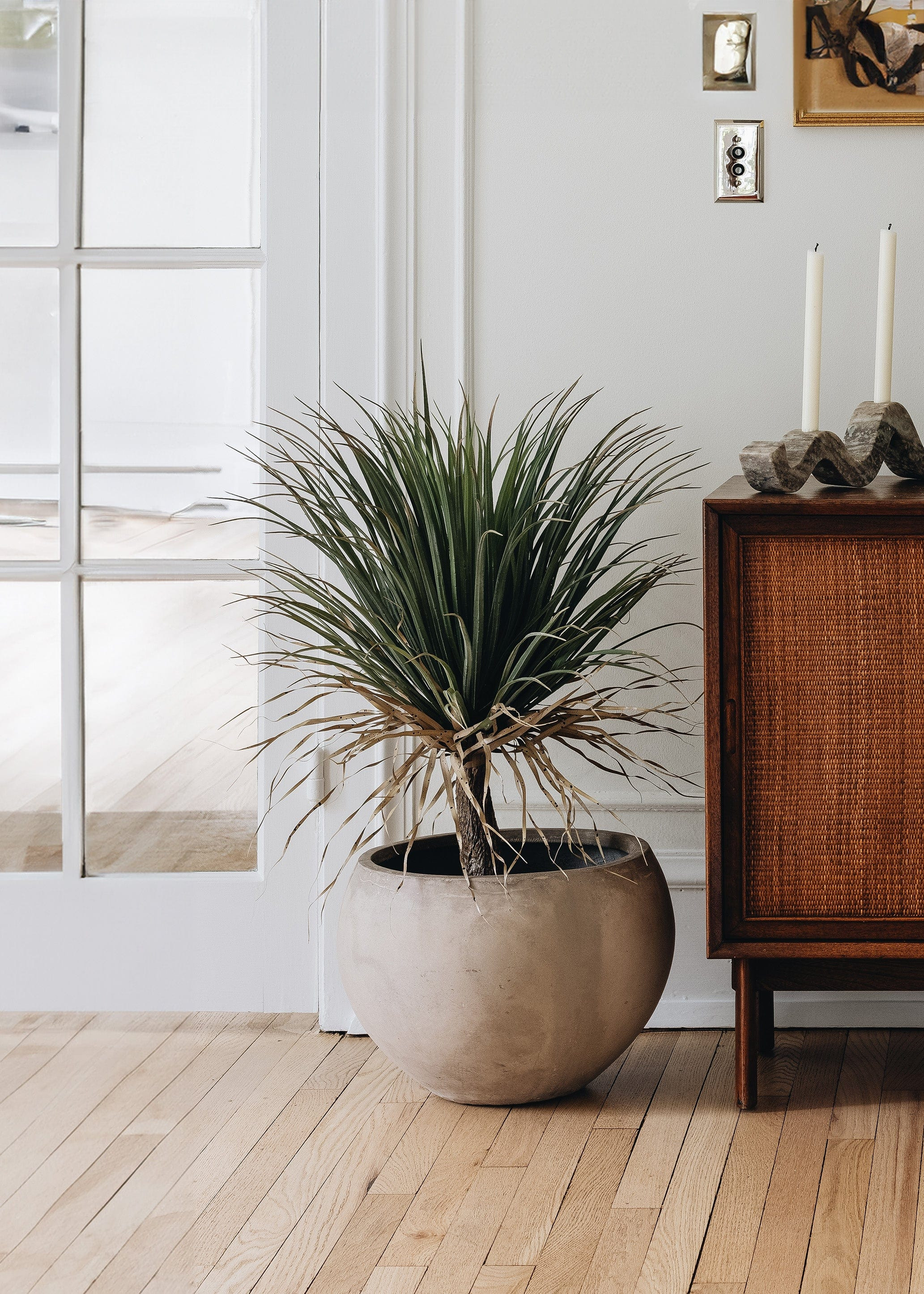 Desert Palm in Cement Pot | Best Fake Potted Plants | Afloral | Afloral