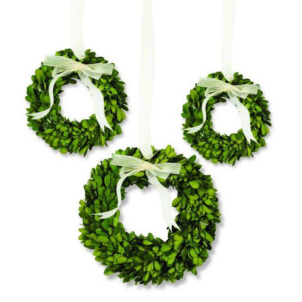 Set of 3 Mini Preserved Boxwood Wreaths with Sheer Bows- 10", 8" and 6" Diameter | Walmart (US)