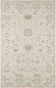 Momeni Anatolia Wool and Nylon Area Rug 3'3" X 5' Beige | Amazon (US)