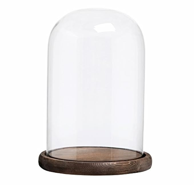 MyGift Decorative Clear Glass Cloche Bell Jar Display Case with Rustic Wood Base/Tabletop Centerpiec | Amazon (US)