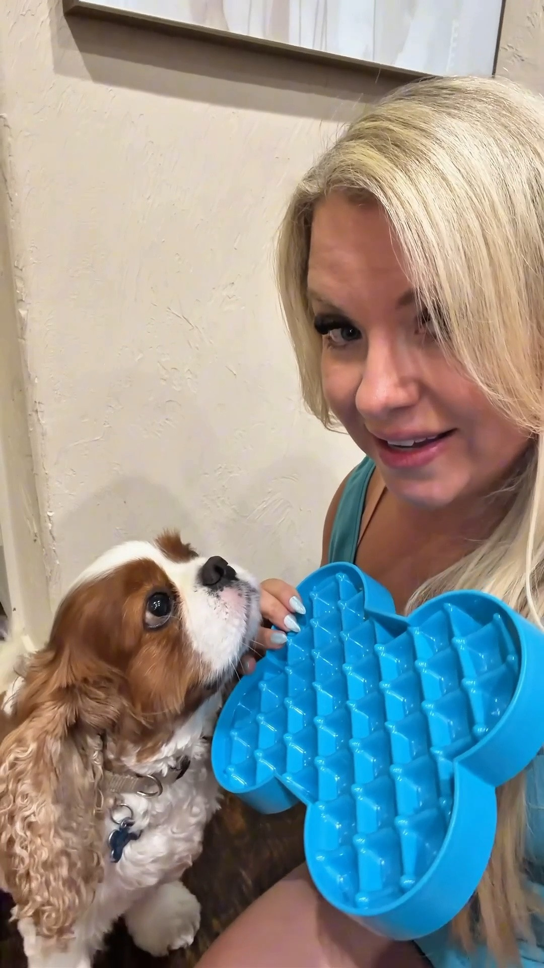 Ranger used to eat too fast which isn’t good for him.👎🏻This new food plate I found has completely fixed that and now it takes him three times longer to eat.

#LTKHome #LTKdayinmylife #LTKvlog