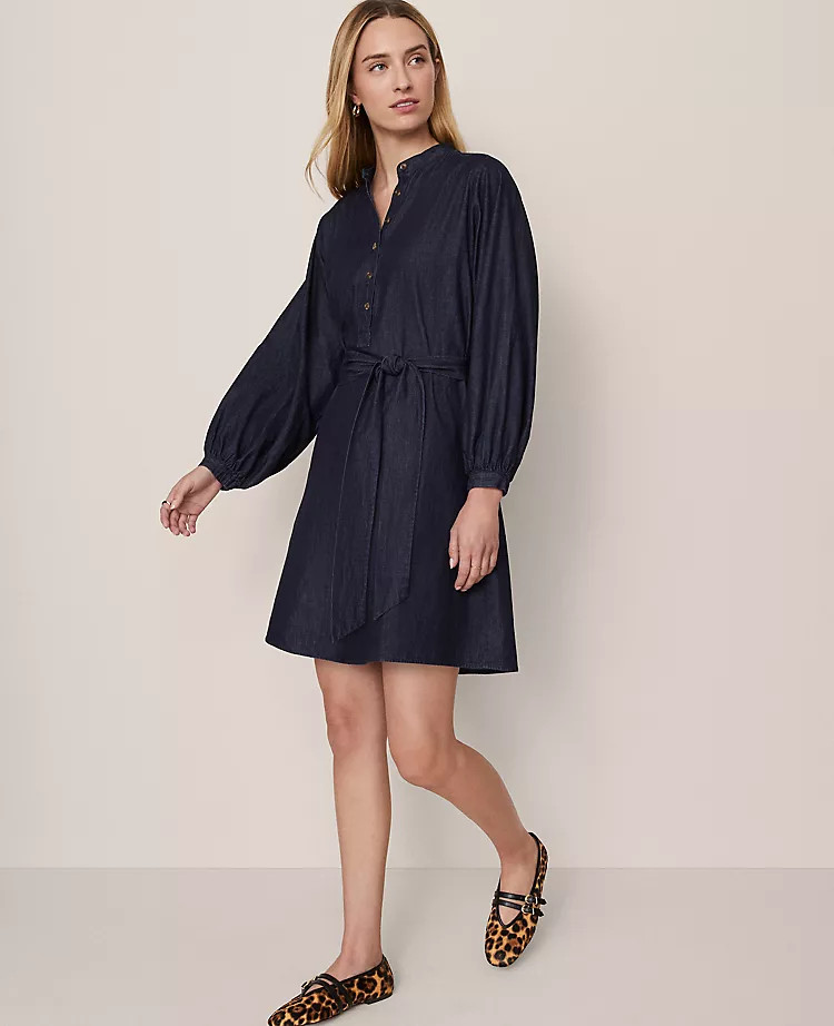 Weekend Collection Stand Collar Shift Dress | Ann Taylor