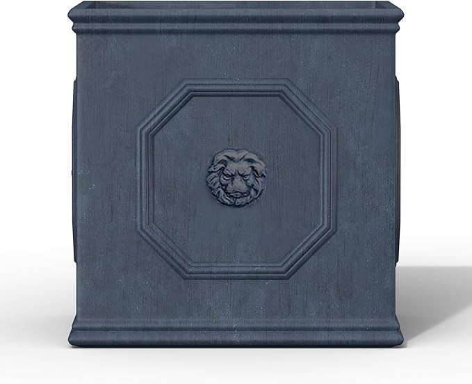 Kante Lion Head Square Concrete Planter, 10 Inch Large Plant Pot with Drianage, Modern English St... | Amazon (US)