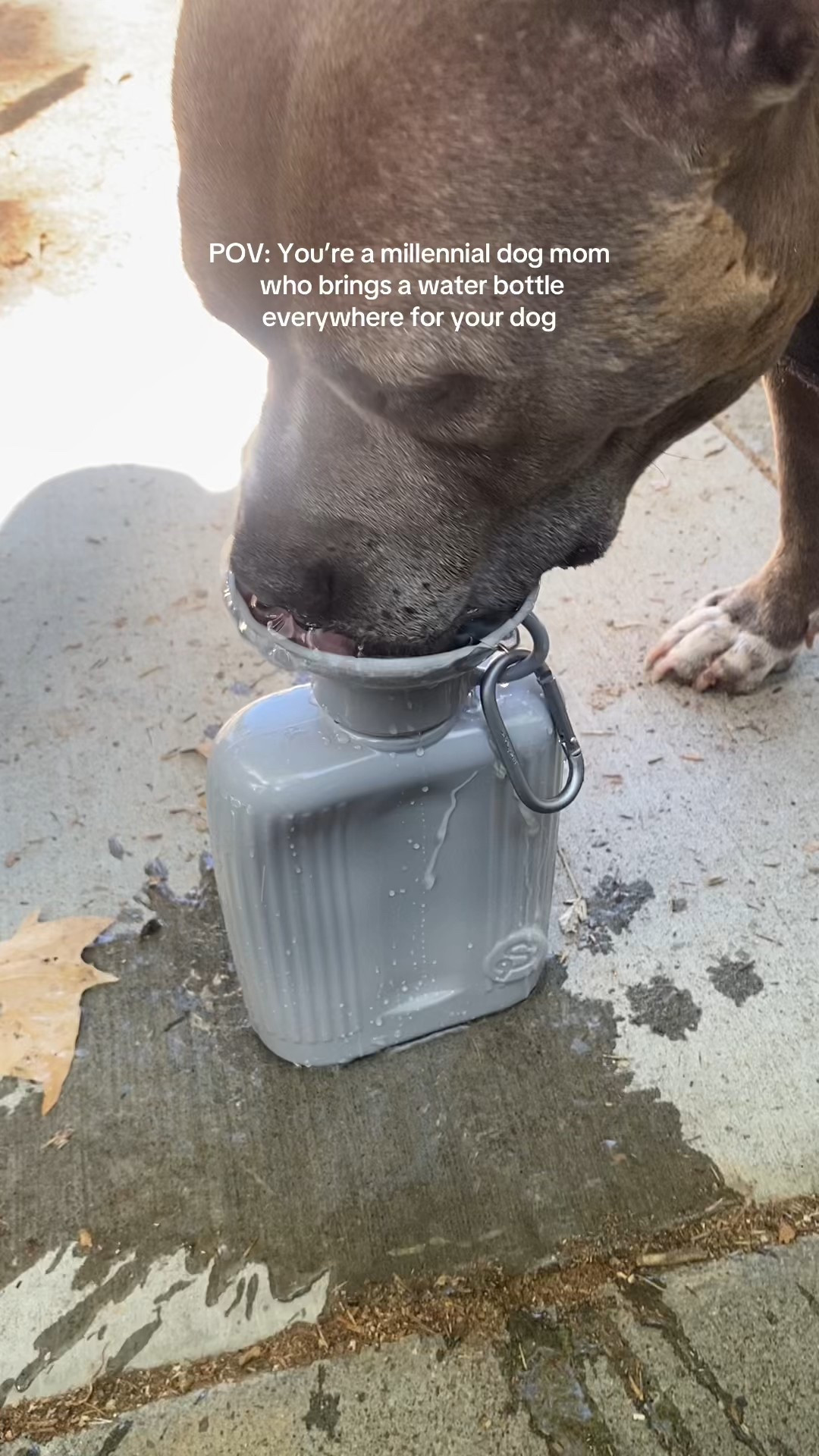 Always a good item to have on hand or keep in the car! 

#LTKFamily #LTKWatchNow #LTKPets