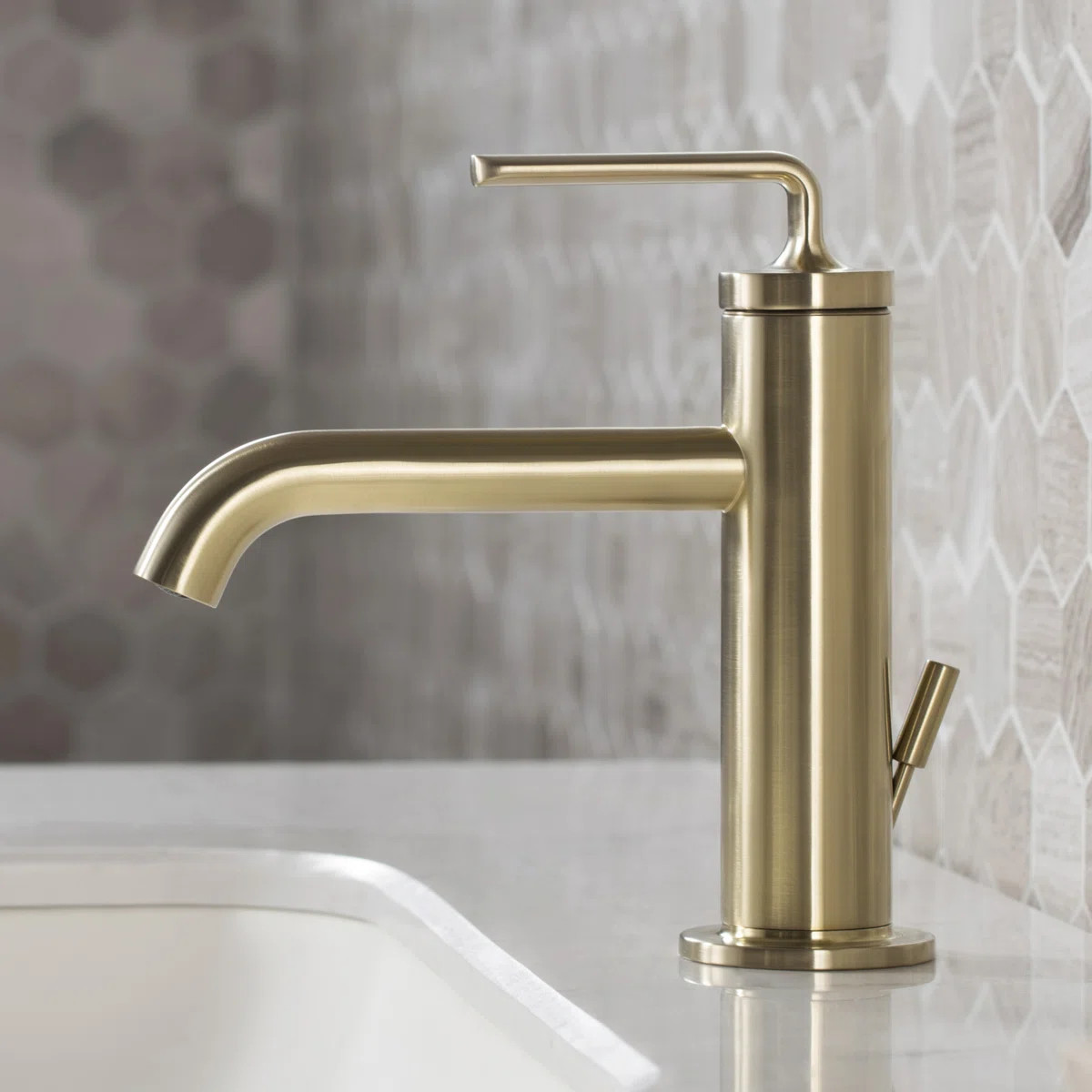 KRAUS Ramus Single Handle Bathroom Sink Faucet with Lift Rod Drain KBF-1221BG | Wayfair North America