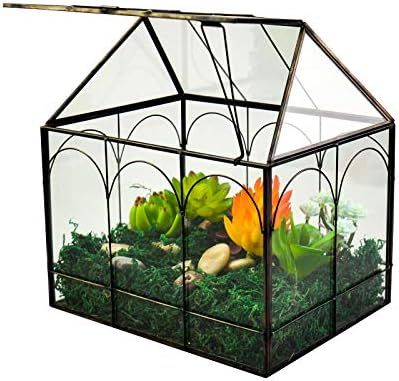 Large Tall Plant Terrarium Glass – Glass Greenhouse Terrarium with Lid,Indoor Tabletop Orchid S... | Amazon (US)
