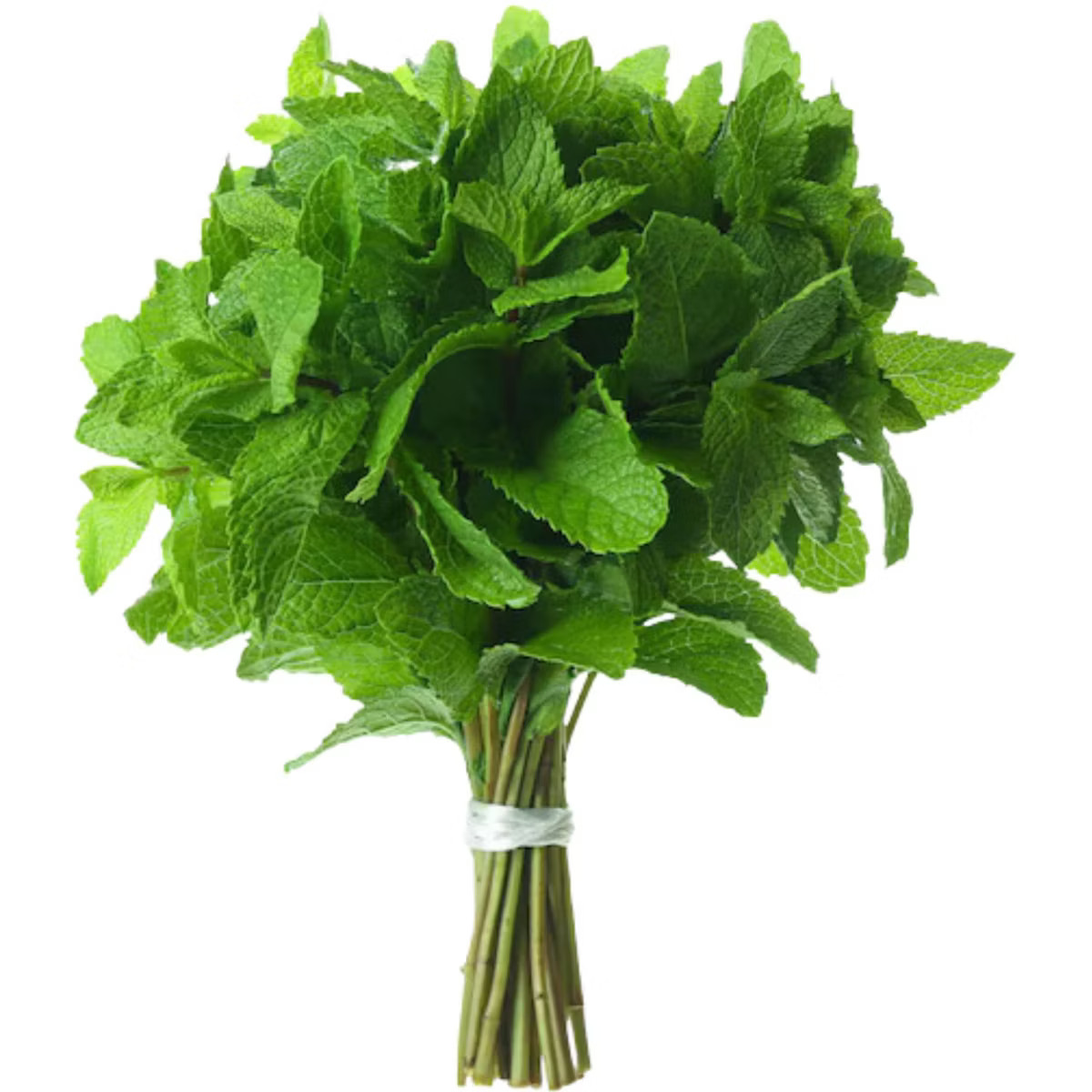 Fresh Mint (Pudina) Leaves - 1.5-2oz - Rani Brand Authentic Indian Products | Target