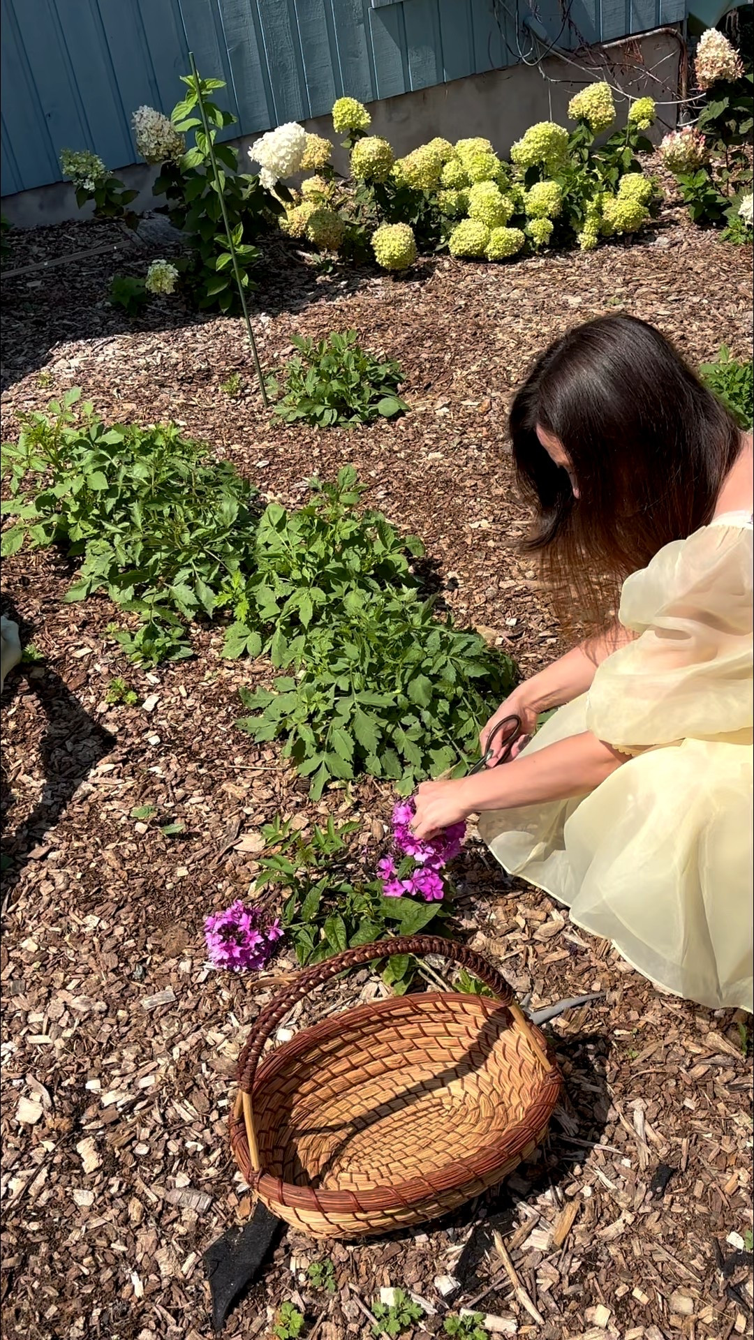 The cutest little vase fridge magnets! 

Refrigerator magnets, fridge decor, fridgescaping, kitchen decor, Amazon finds, Amazon kitchen, Amazon home 

#LTKFindsUnder50 #LTKHome #LTKFindsUnder100