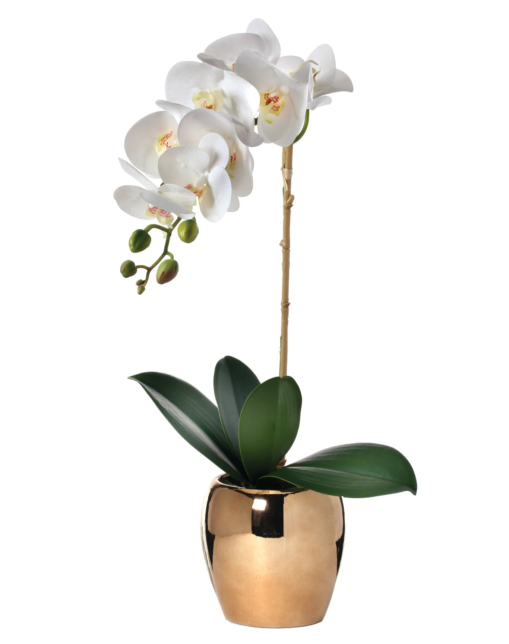Arrangement in Pot | Wayfair North America