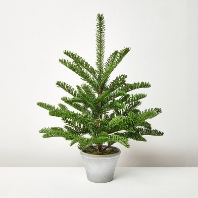 Potted Spruce Artificial Tree - Hearth & Hand™ with Magnolia | Target
