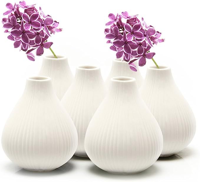 Chive ‘Frost’ Small Ceramic Vase — Decorative Vases for Flowers & House Plants — Cute, Be... | Amazon (US)