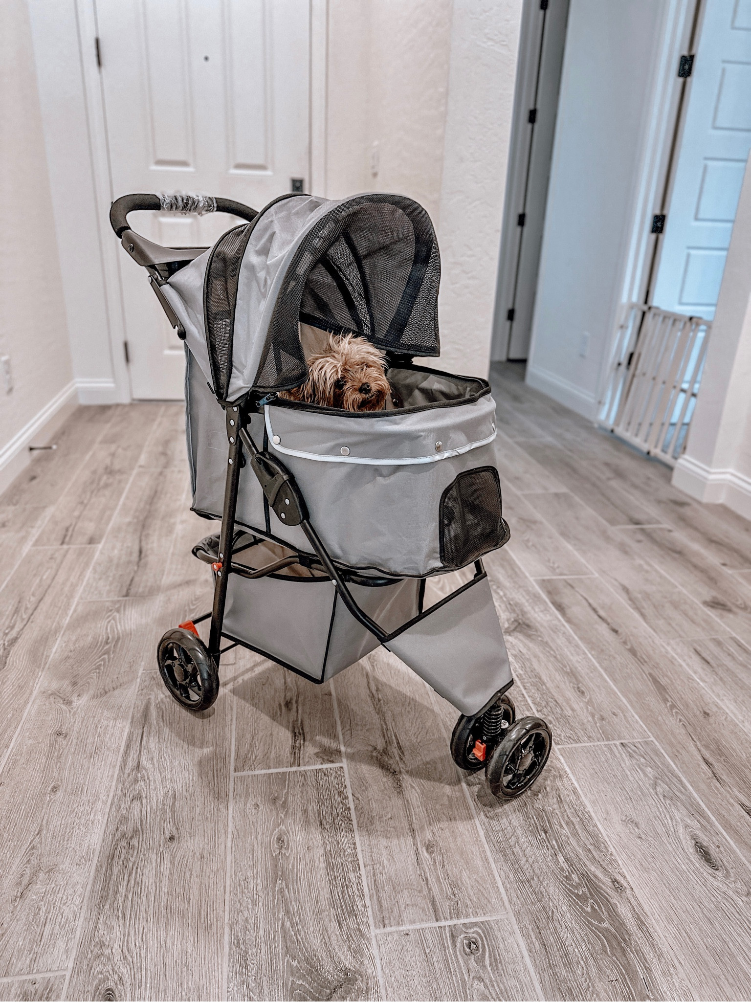 Let Stroller on SALE under $100
#ltkpet

#LTKunder100 #LTKsalealert