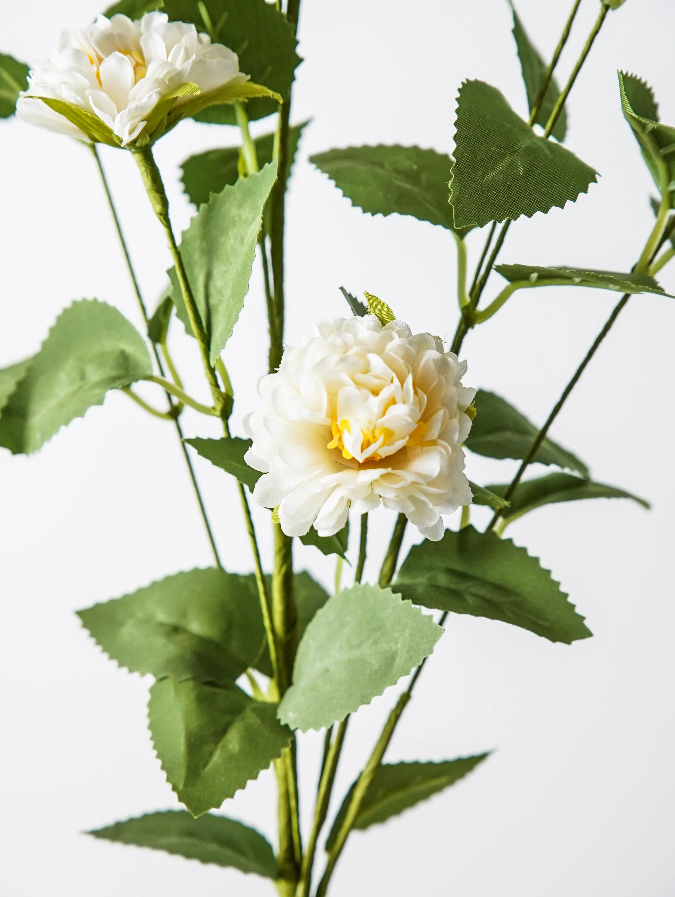 Quiet Meadow Pom Stem | MJHome