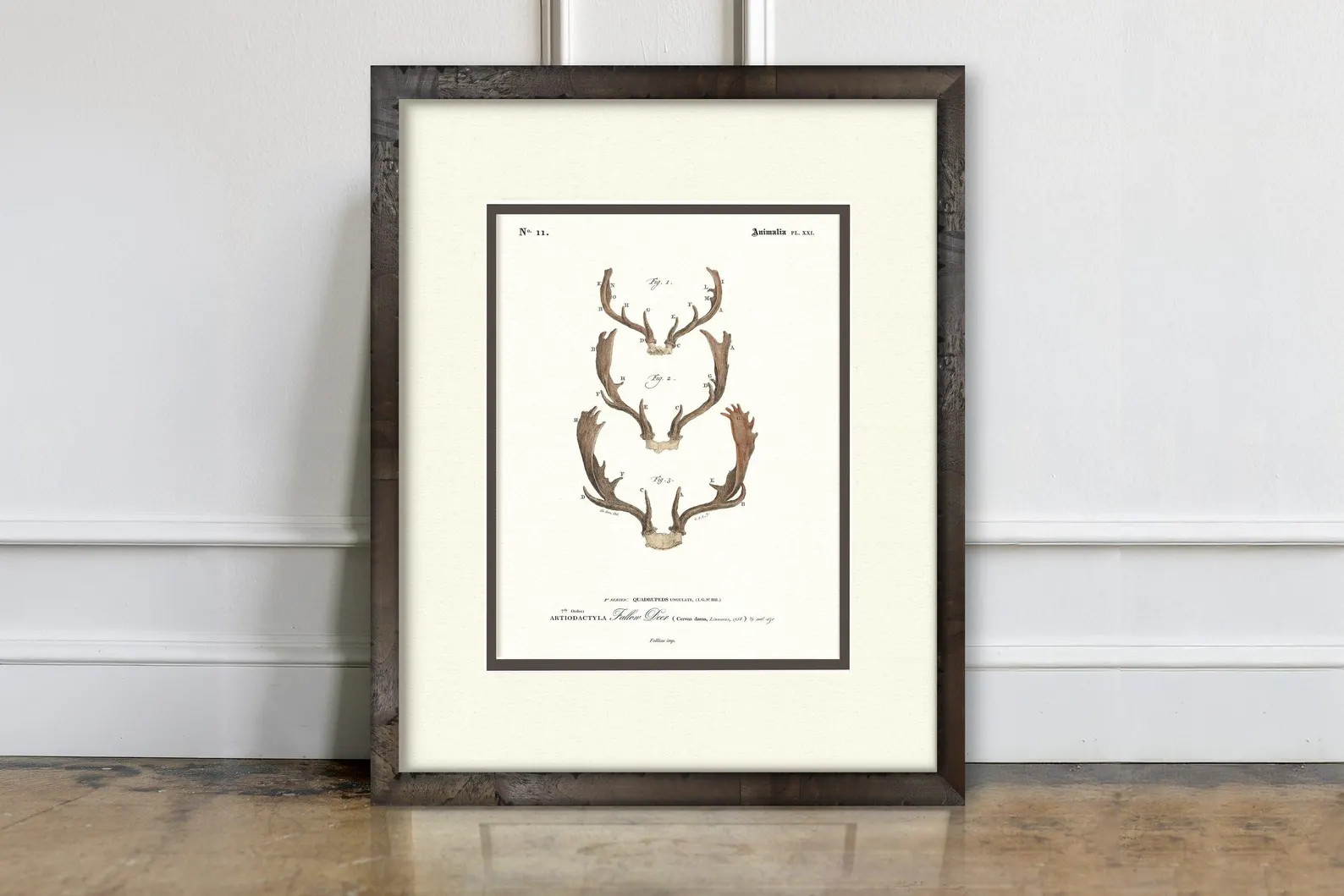 Vintage Deer Antler Art – Moose, Caribou and Deer Antler Illustrations in a Burl Wood Frame | Etsy (Global)