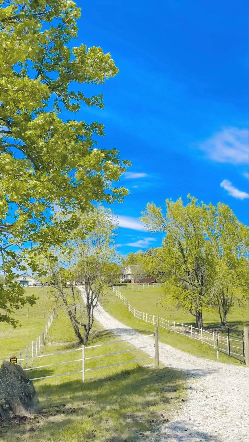 but nothing beats coming back home to all the beauty here on the farm 🌳🧺🚜