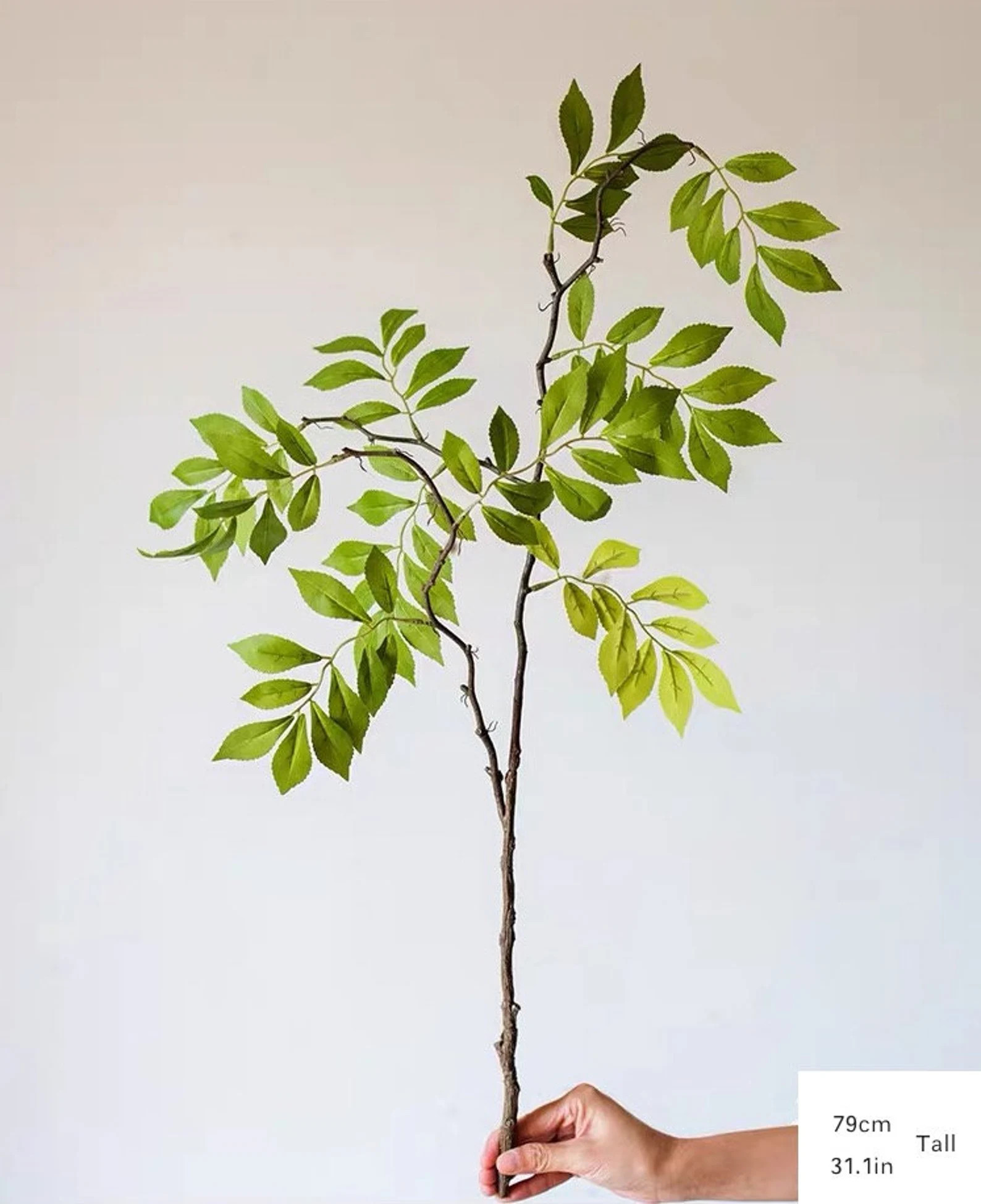 Wisteria Exclusive Unbelievably Realistic and - Etsy | Etsy (US)