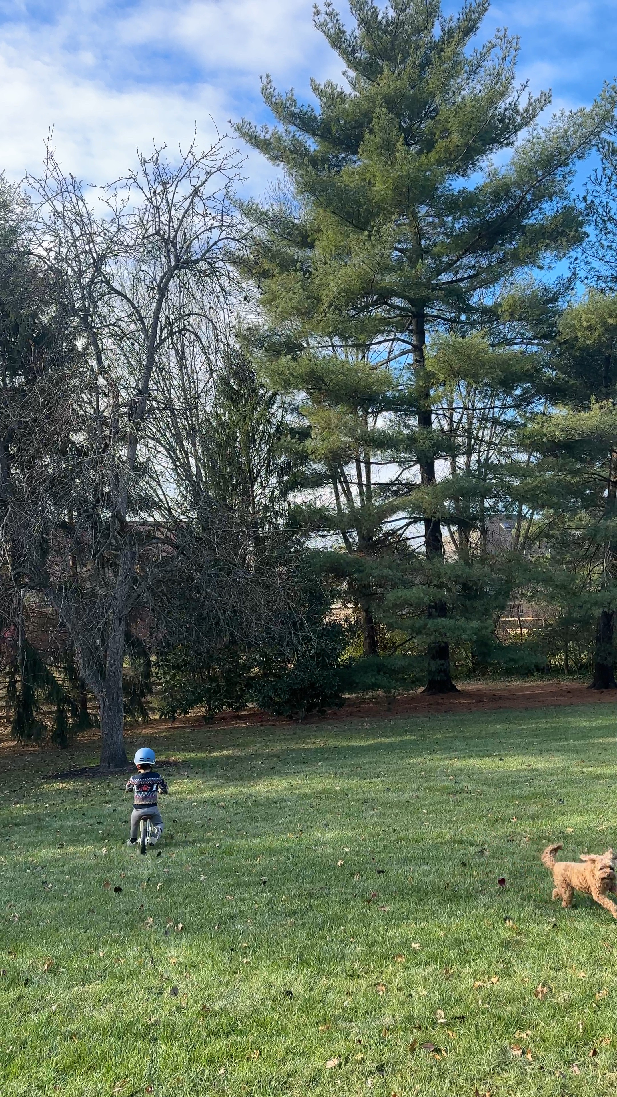 Balance bike, toddler bike, toddler helmet

#LTKKids #LTKBaby