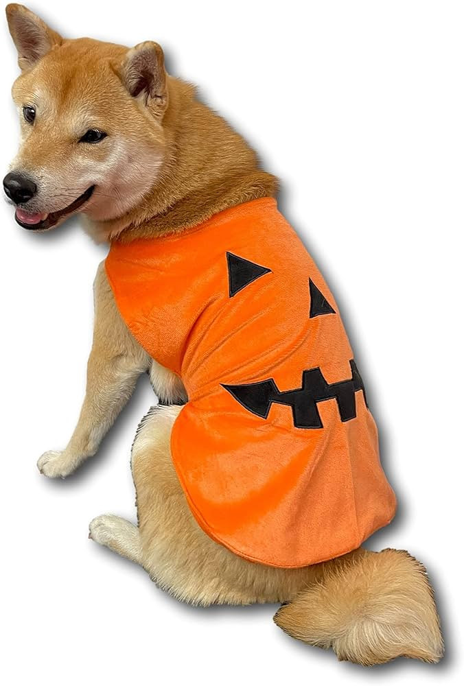 ComfyCamper Pumpkin Dog Costume - X Large Medium Small Shepherd French Lab Retrieve Pet Cosplay H... | Amazon (US)