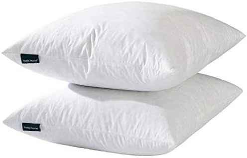 24x24 Euro Throw Pillow Inserts-Down Feather Pillow Inserts-Cotton Fabric-Set of 2-White. | Amazon (US)