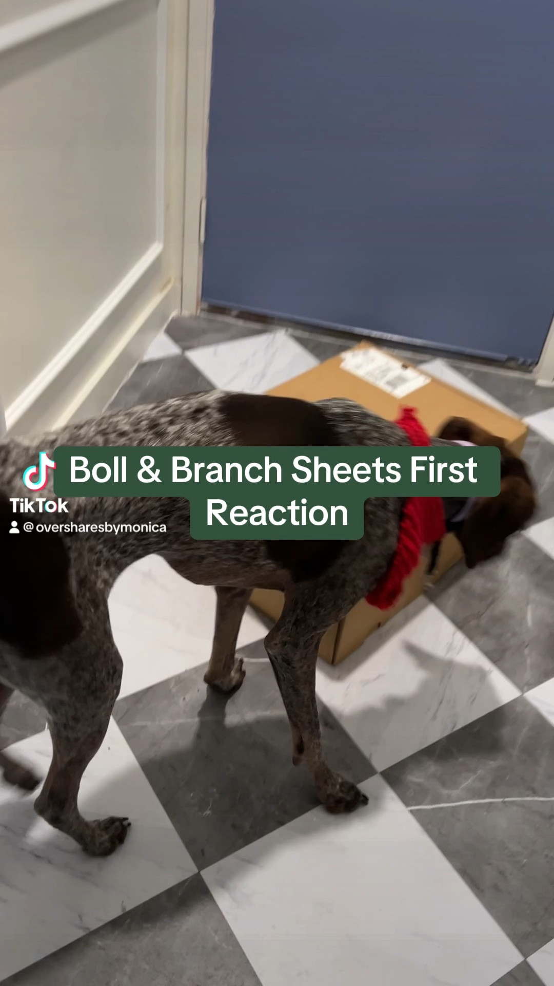 Boll & branch, sheets, luxury sheets, bedding, waffle blanket, white bedding

#LTKhome #LTKVideo #LTKGiftGuide