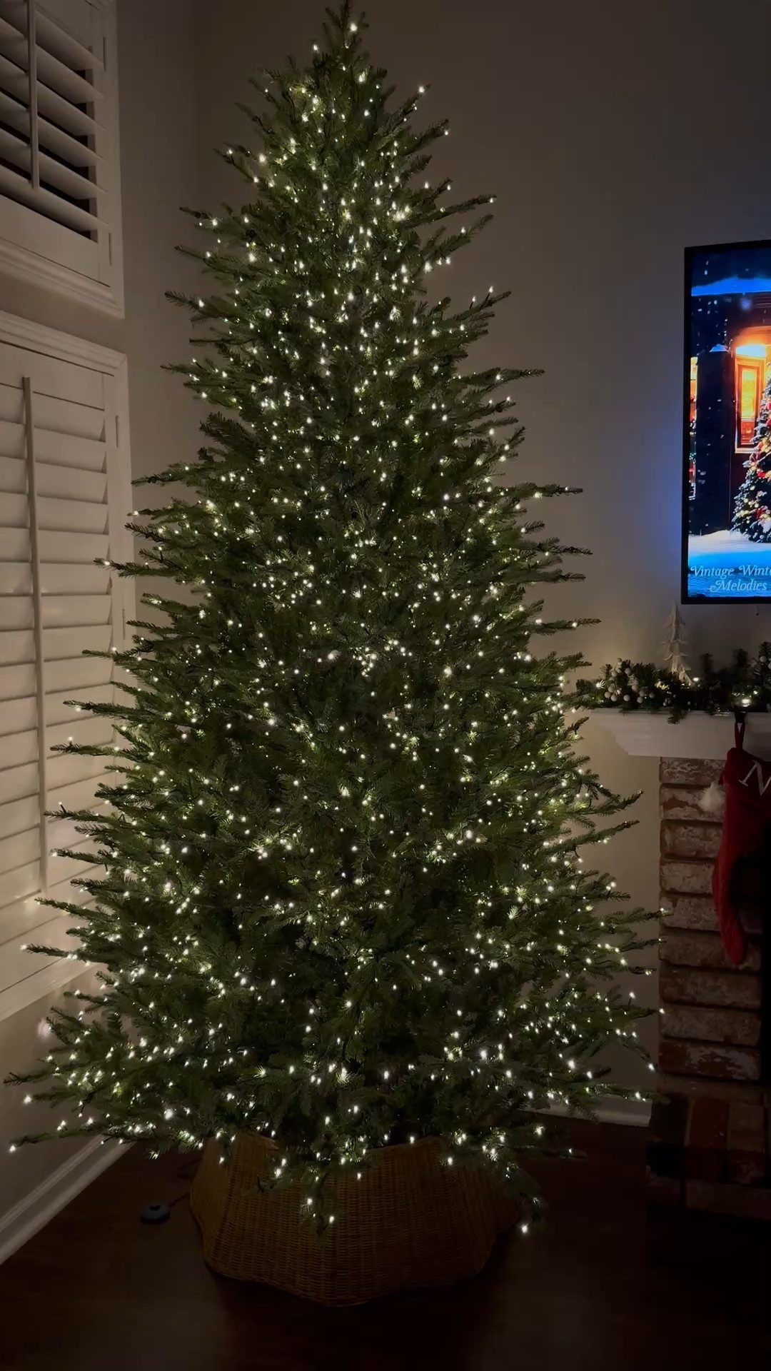 Christmas tree 🎄

#LTKSeasonal #LTKHoliday