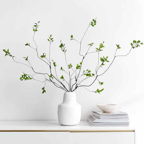 Visit the Ttranewsoo Store | Amazon (US)