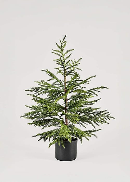 Afloral Artificial Norfolk Pine Tree - 36" | Amazon (US)