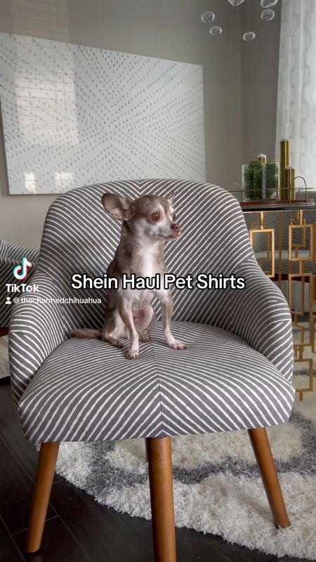 Shein pet shirt haul!

Dog shirt, dog clothes, petsin

#LTKFind #LTKfamily #LTKstyletip