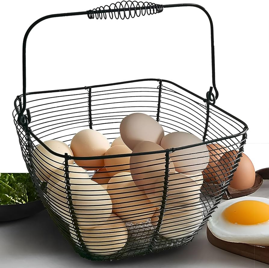 Black Square Wire Egg Basket For Fresh Egg with Handle,Famhouse Small Metal Egg Collecting Basket... | Amazon (US)