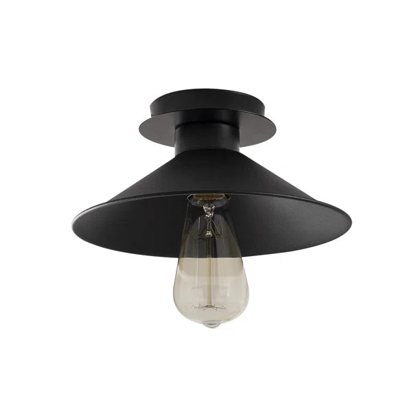 Semi Flush Mount | Wayfair North America