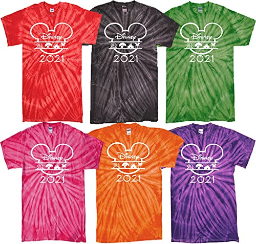 DisneyWorld 4 Park 2022 Tie Dye Shirts, Tie Dye Tee Shirt, DisneyWorld Matching Shirts, Family Va... | Amazon (US)