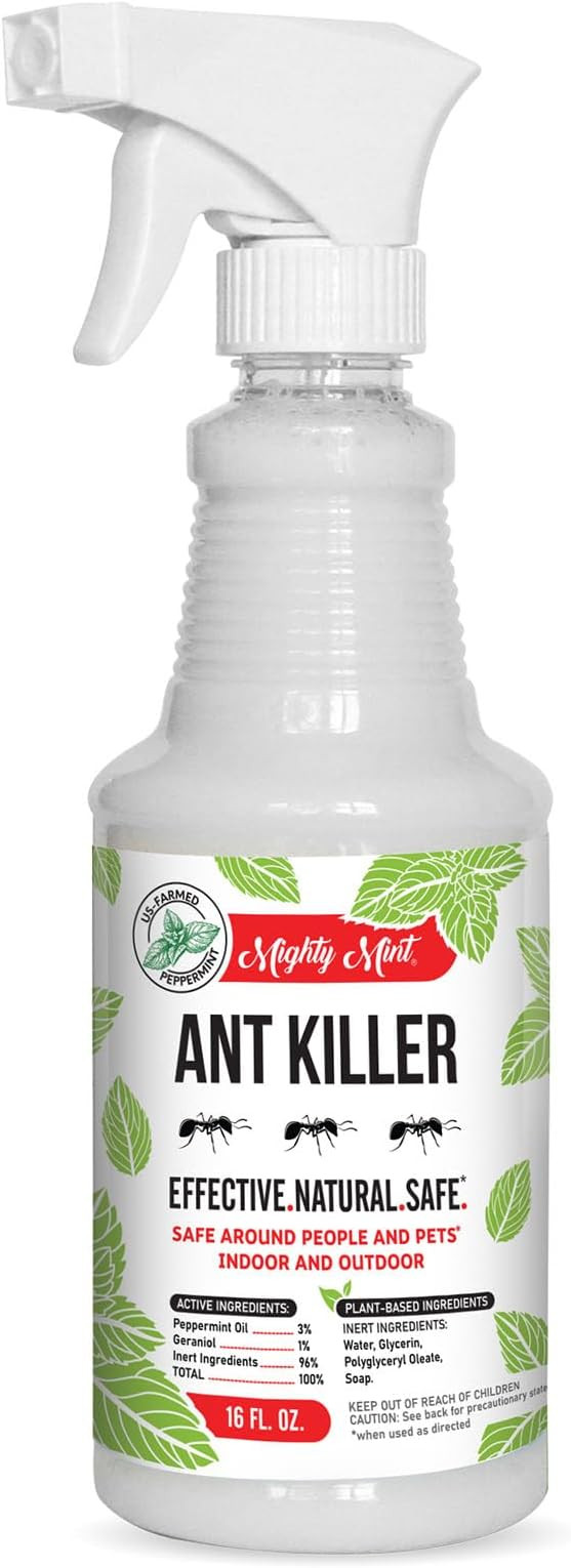 Mighty Mint Peppermint Oil Ant Killer Spray – Natural Ant Repellent for Indoor & Outdoor Use ... | Amazon (US)