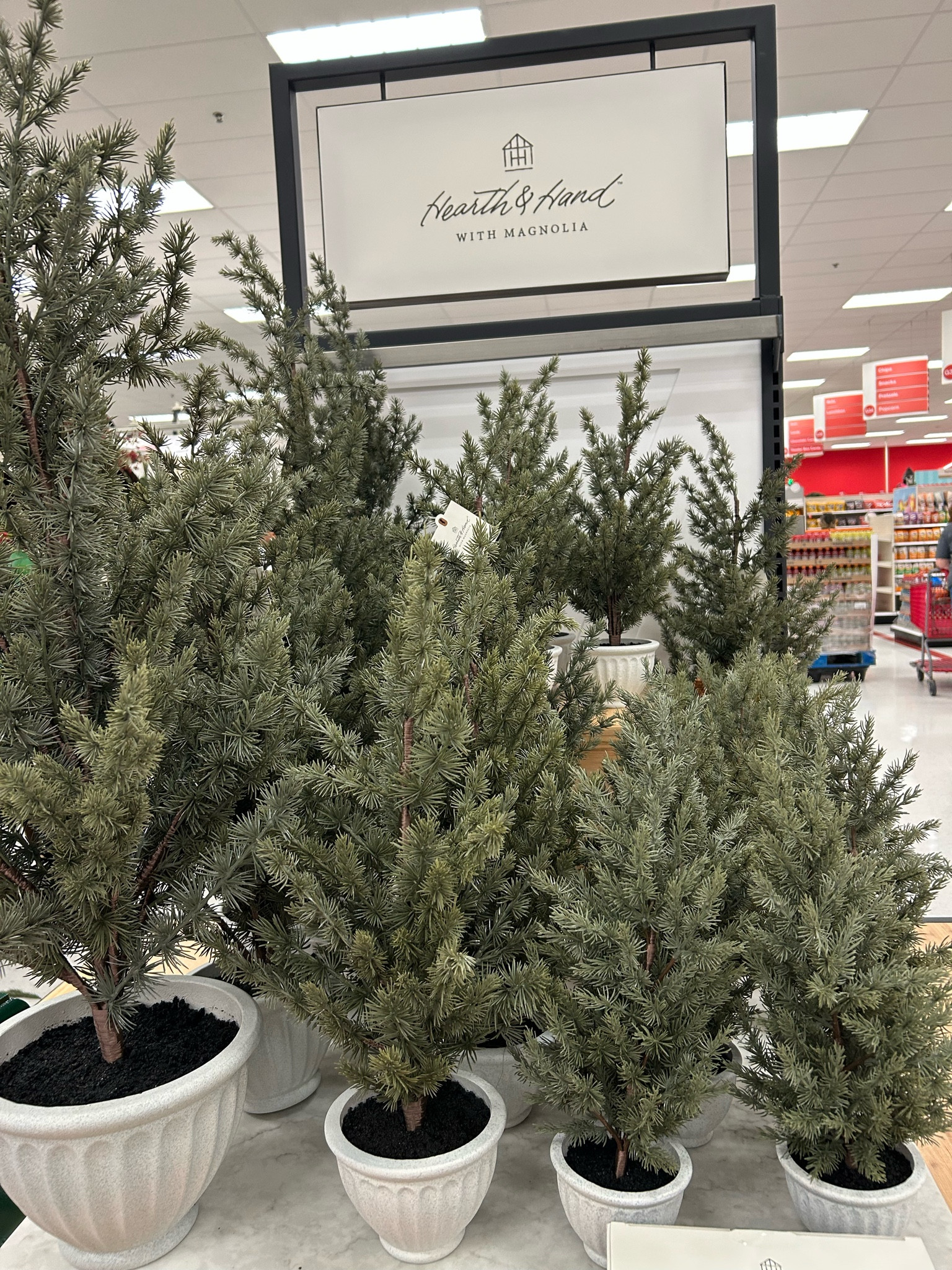 The prettiest Christmas trees 🌲 

#LTKHome #LTKHoliday #LTKSeasonal