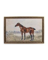 24X16 Noble Brown Horse Wall Art | TJ Maxx