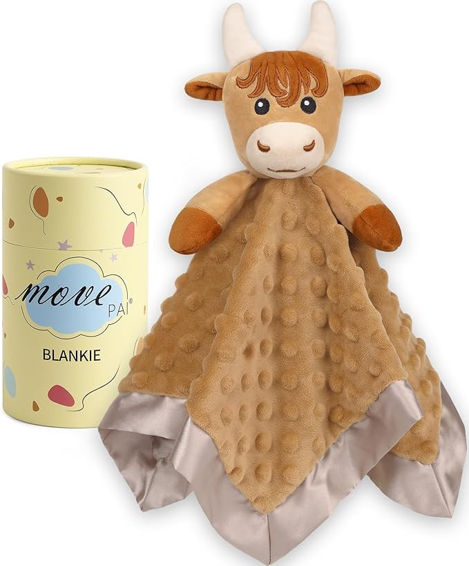 Baby Security Blanket, Soft Baby Lovey Toy Blanket for Boys, Snuggle Toy Lovie Newborn Blankie, f... | Amazon (US)