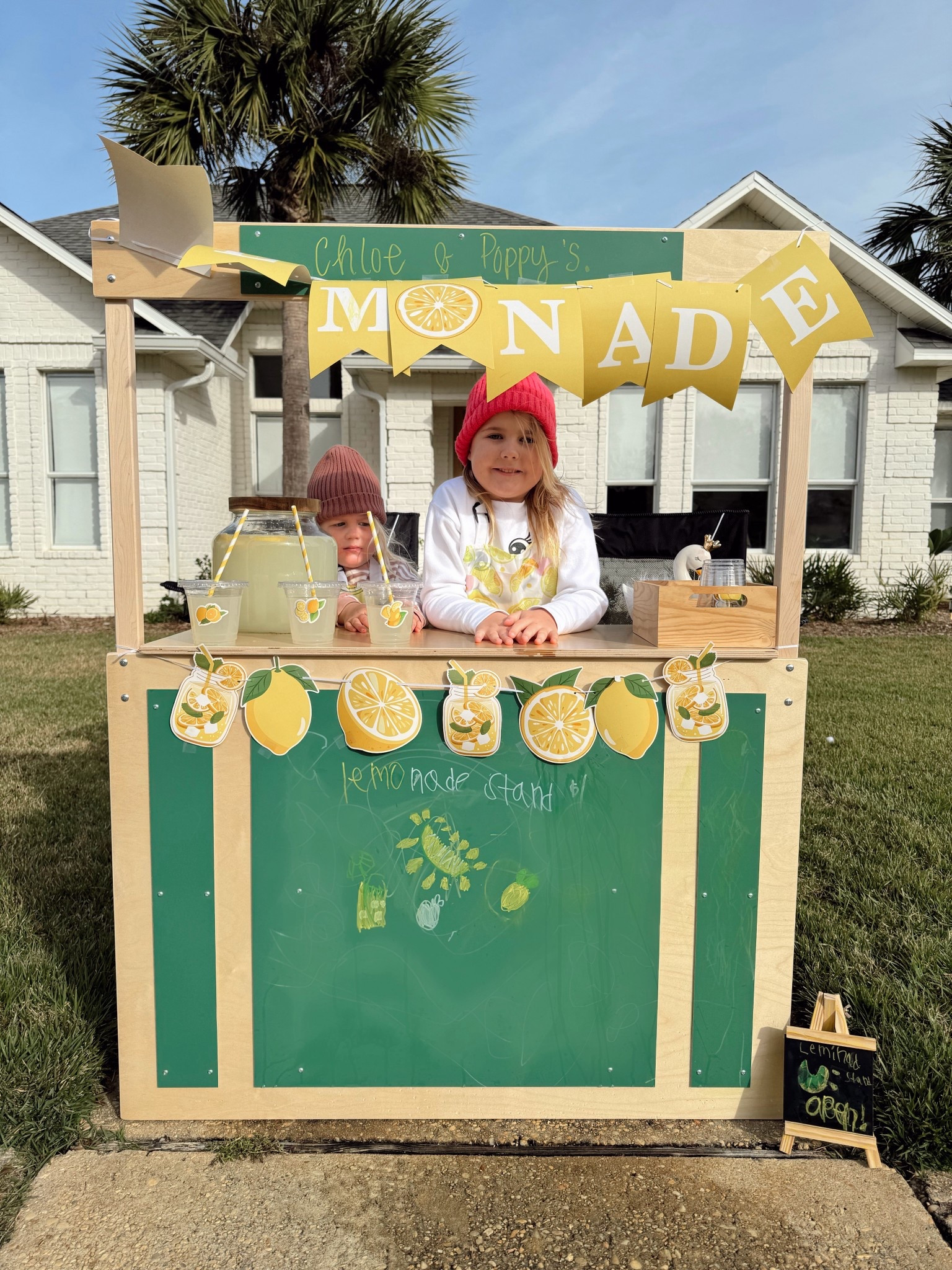 My girls have had so much fun with this foldable lemonade stand & accessories!

#LTKdayinmylife #LTKmomlife #LTKKids